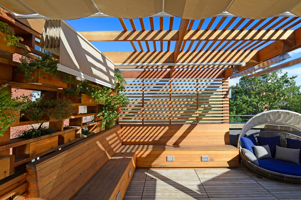 Réalisation d'une terrasse en bois arrière minimaliste de taille moyenne avec une cuisine d'été et une pergola.