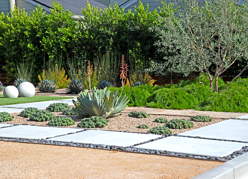 Cette image montre un grand jardin vertical arrière minimaliste avec un gravier de granite.