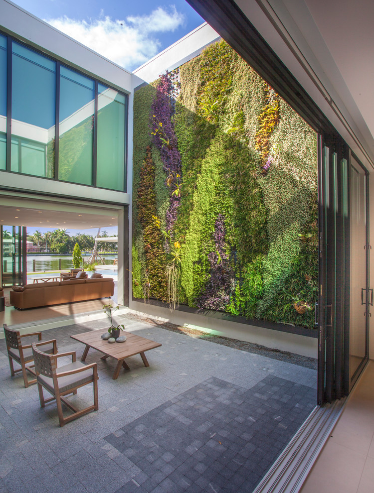 Идея дизайна: двор на внутреннем дворе в современном стиле с вертикальным садом без защиты от солнца