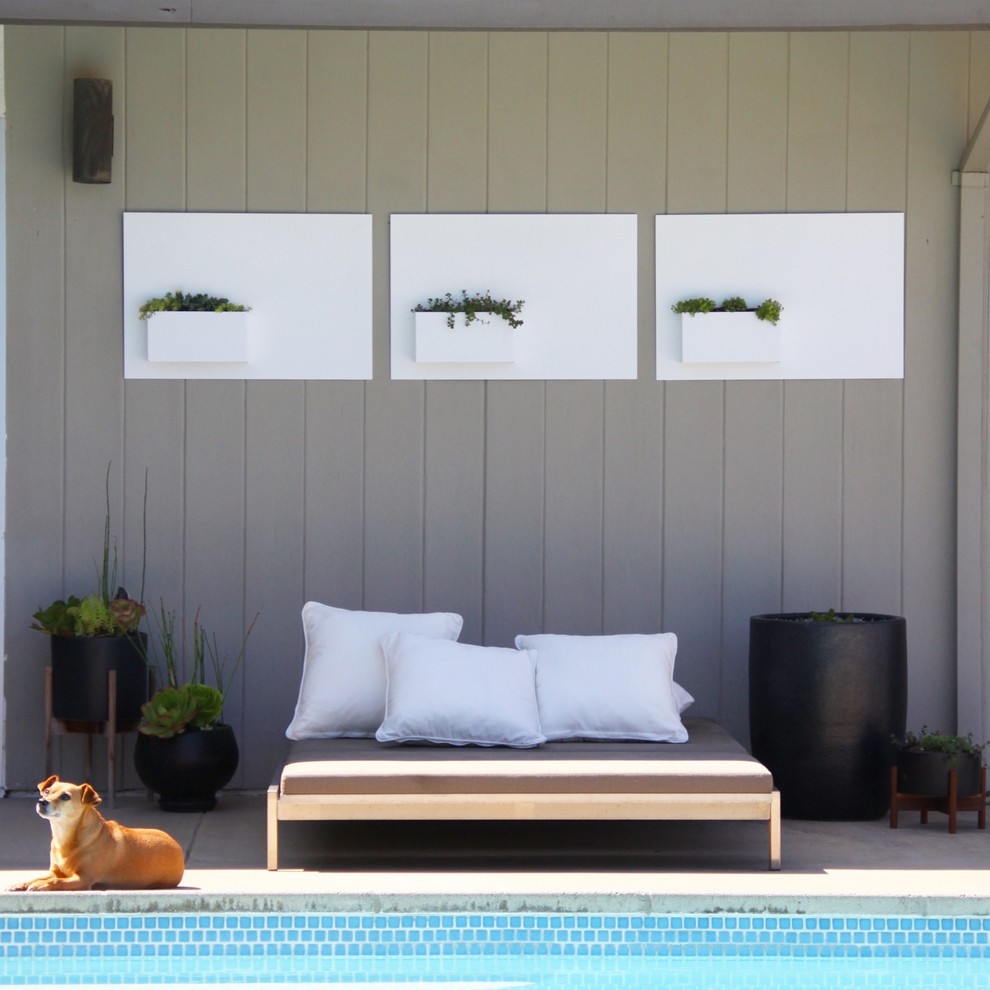 Ispirazione per un patio o portico minimalista di medie dimensioni e dietro casa con un parasole