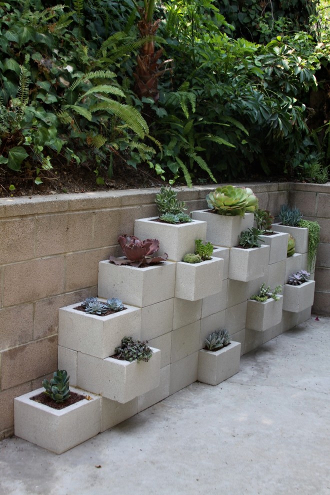 Cette photo montre une terrasse avec des plantes en pots arrière moderne de taille moyenne avec une dalle de béton et aucune couverture.