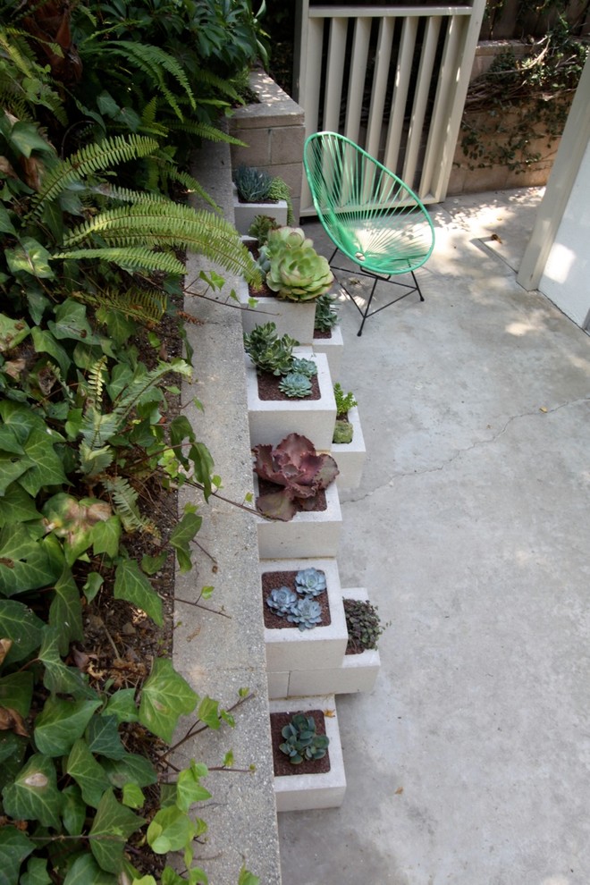 Idee per un patio o portico minimalista dietro casa e di medie dimensioni con un giardino in vaso, lastre di cemento e nessuna copertura