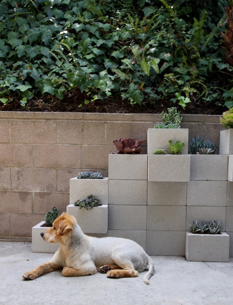 Imagen de patio minimalista de tamaño medio sin cubierta en patio trasero con jardín de macetas y losas de hormigón