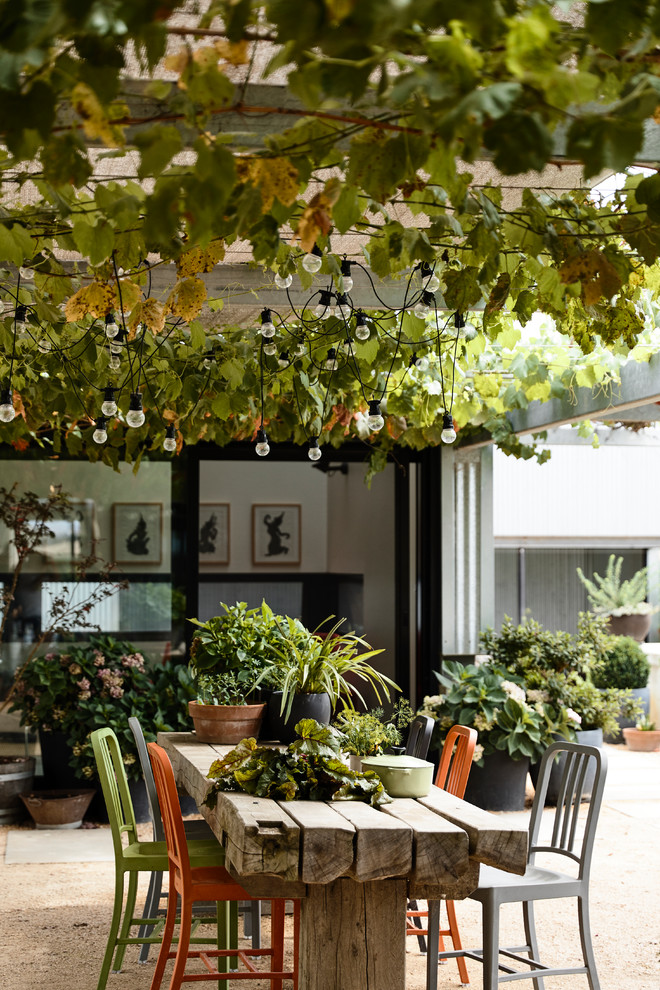 Inspiration pour une terrasse avec des plantes en pots arrière design avec du gravier et une pergola.