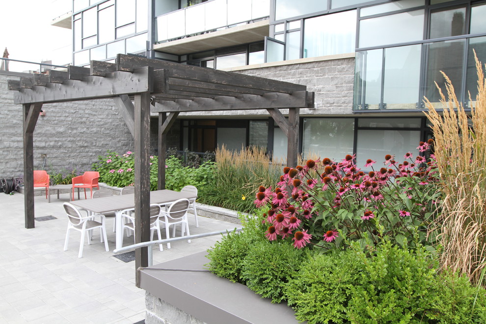 Mittelgroße Klassische Pergola hinter dem Haus mit Kübelpflanzen und Betonboden in Toronto