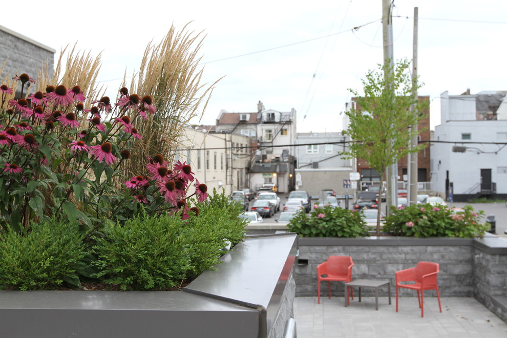 Cette photo montre une terrasse avec des plantes en pots arrière chic de taille moyenne avec des pavés en béton et une pergola.