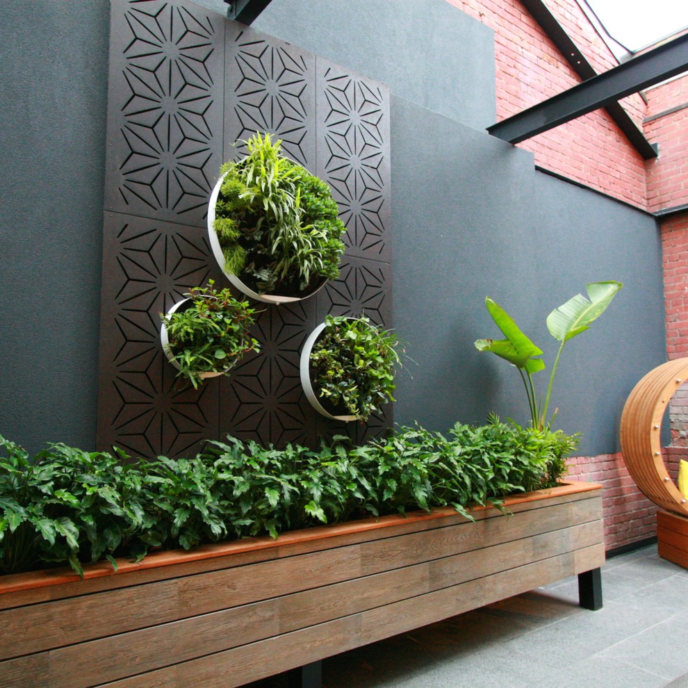 Inspiration pour un mur végétal de terrasse urbain avec une cour.