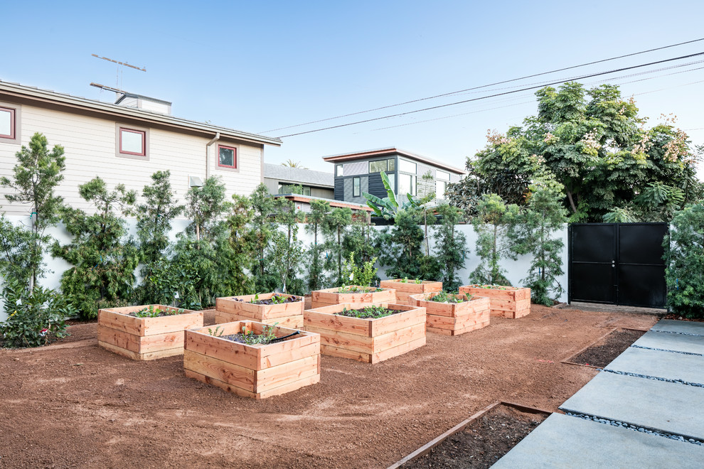 Idée de décoration pour un jardin potager et terrasse arrière design avec des pavés en béton et aucune couverture.