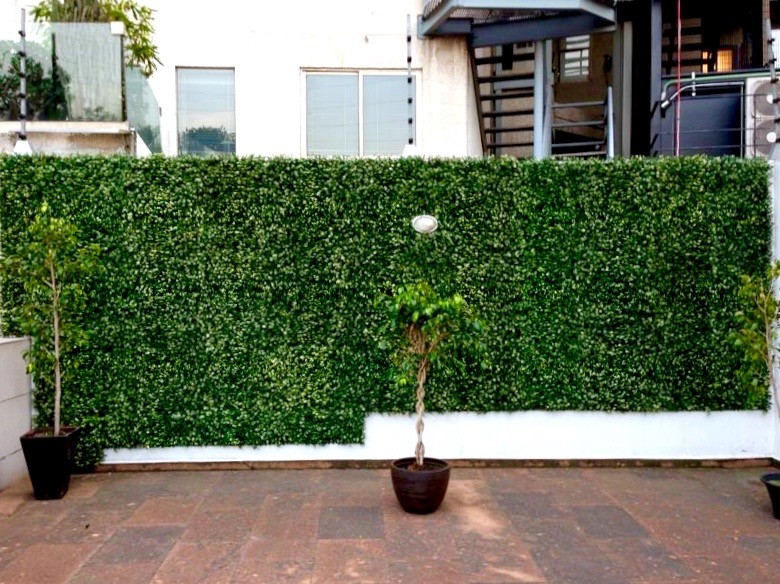 Mid-sized minimalist backyard patio vertical garden photo in Houston with no cover
