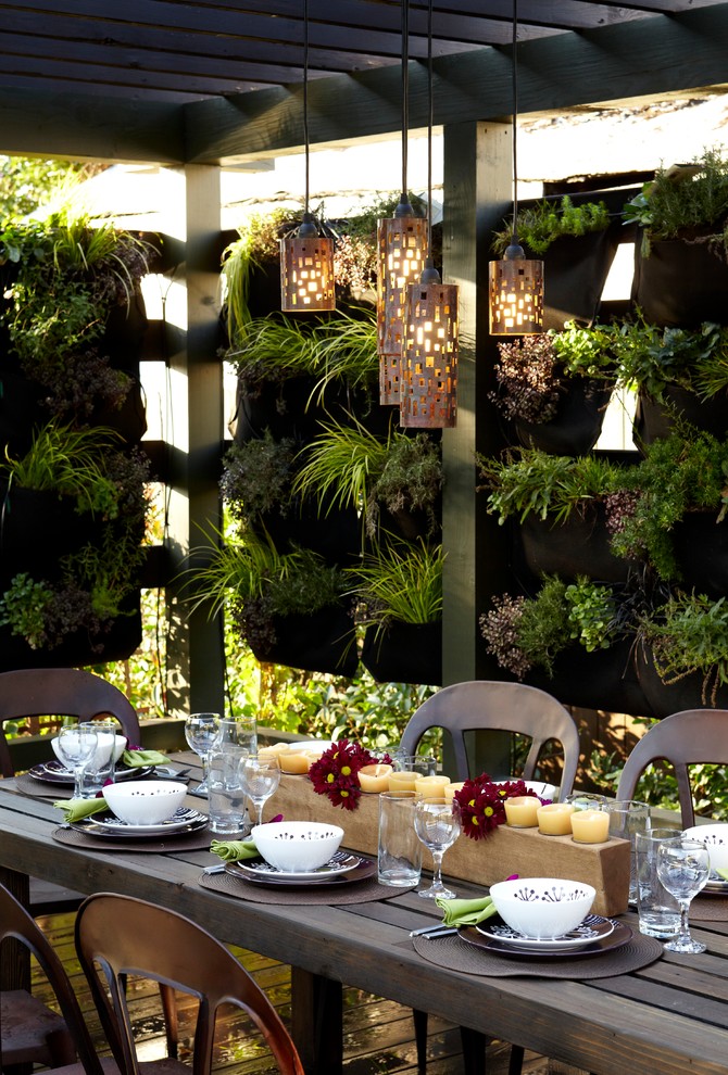 Design ideas for an urban back patio in Melbourne with a pergola and a living wall.