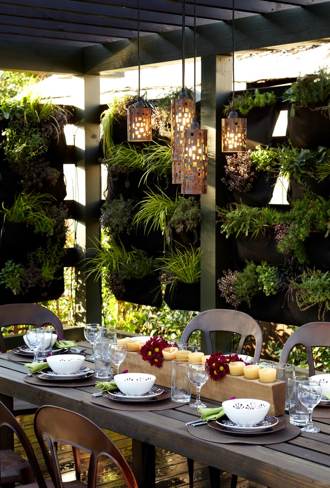 Urban backyard patio vertical garden photo in Melbourne with a pergola