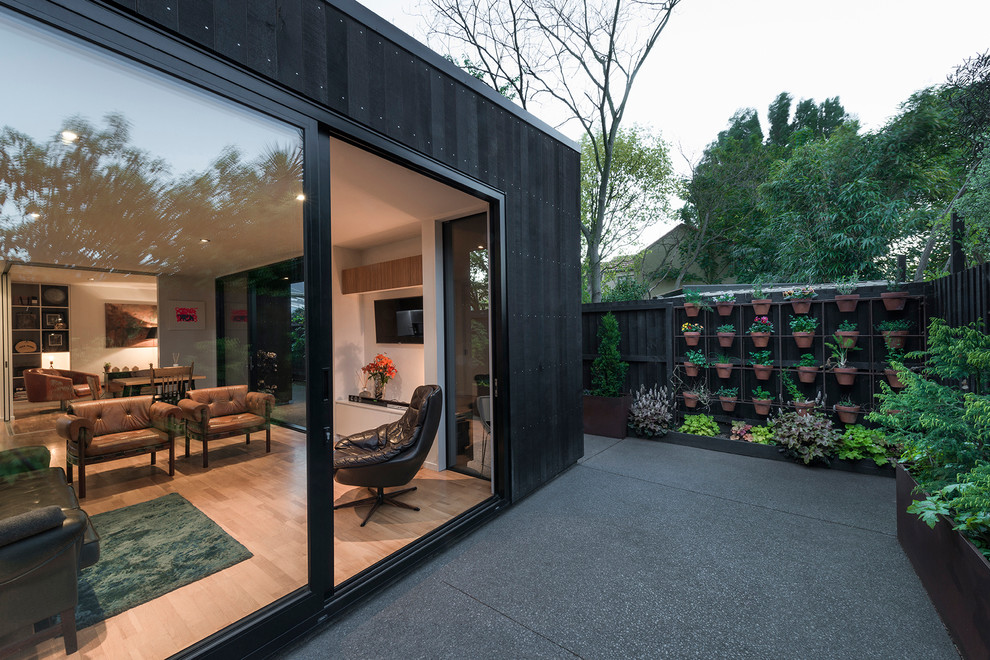 Modelo de patio contemporáneo con jardín de macetas y losas de hormigón