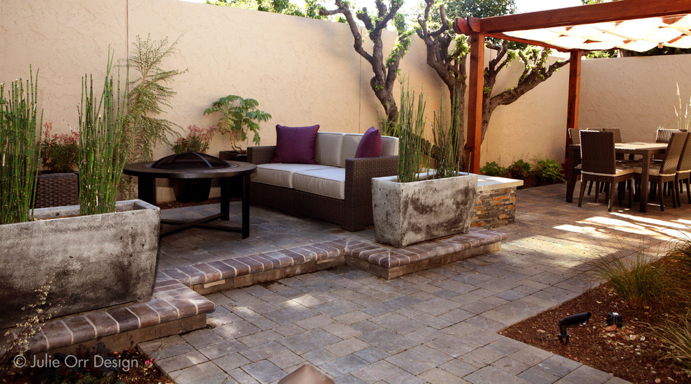 Esempio di un piccolo patio o portico contemporaneo dietro casa con un focolare, pavimentazioni in cemento e una pergola