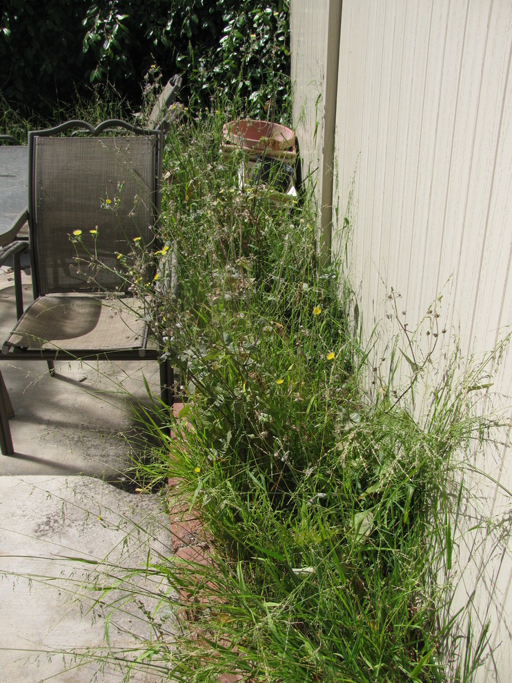 На фото: маленький огород во дворе на заднем дворе в стиле рустика с мощением клинкерной брусчаткой без защиты от солнца для на участке и в саду