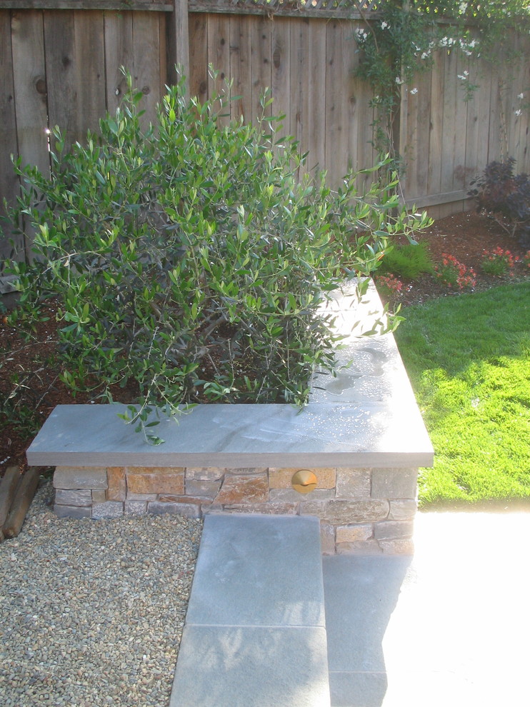 Inspiration for a mid-sized contemporary backyard patio remodel in San Francisco with no cover
