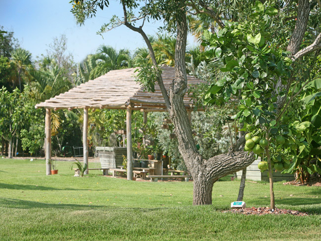 Imagen de patio tropical grande en patio lateral con huerto y cenador
