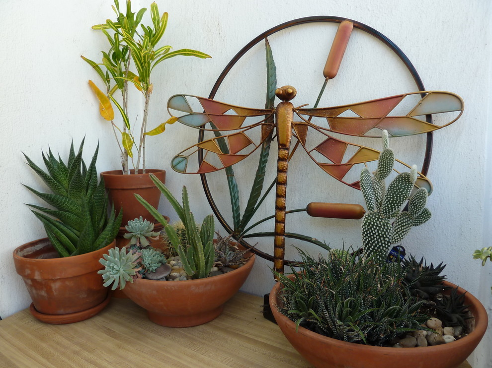 Balcony Garden - Tropical - Patio - Miami | Houzz