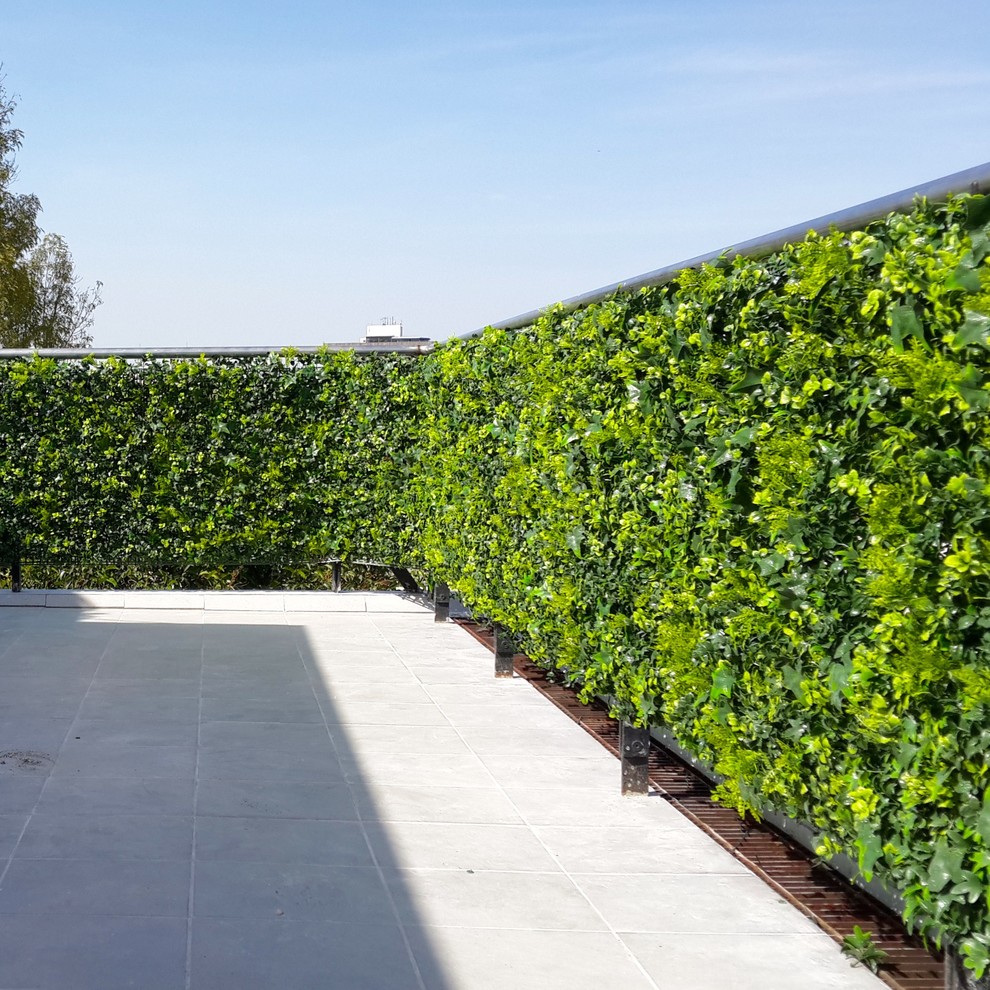 Inspiration pour un mur végétal de terrasse arrière minimaliste de taille moyenne.