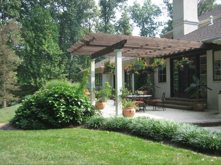 Medium sized back patio in DC Metro with brick paving and a pergola.