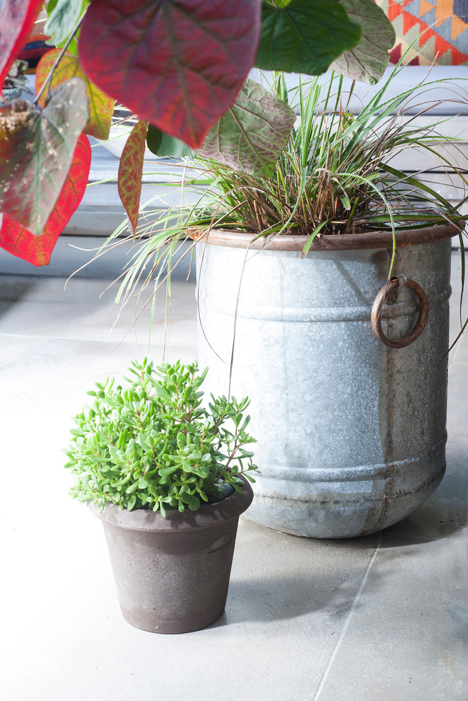 Idee per un piccolo patio o portico eclettico con un giardino in vaso e pavimentazioni in pietra naturale
