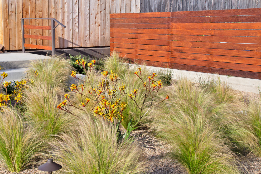 Photo of a mid-sized modern front yard landscaping in San Luis Obispo.