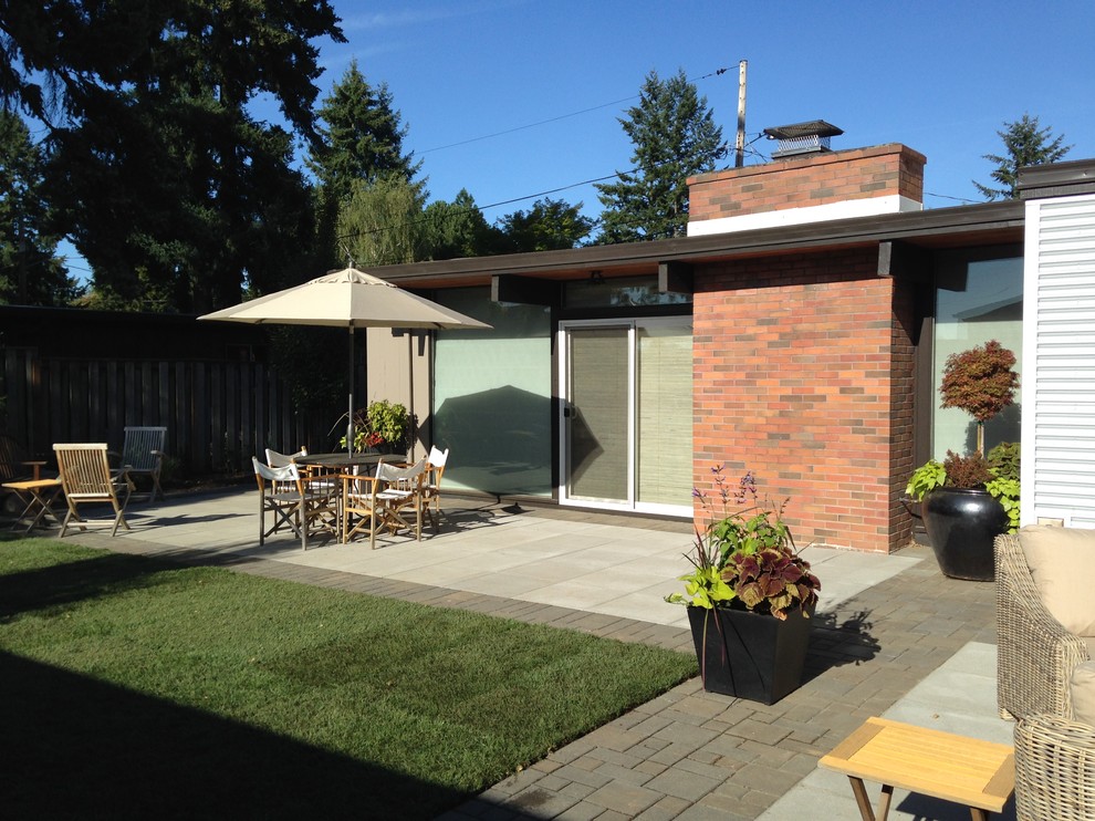 Immagine di un patio o portico minimalista dietro casa e di medie dimensioni con pavimentazioni in cemento e un giardino in vaso