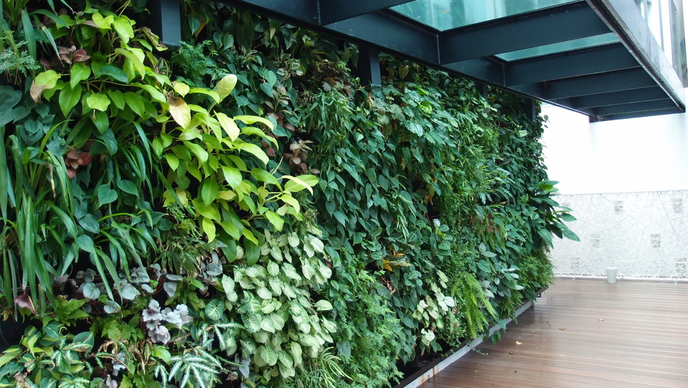 Patio - tropical patio idea in Singapore