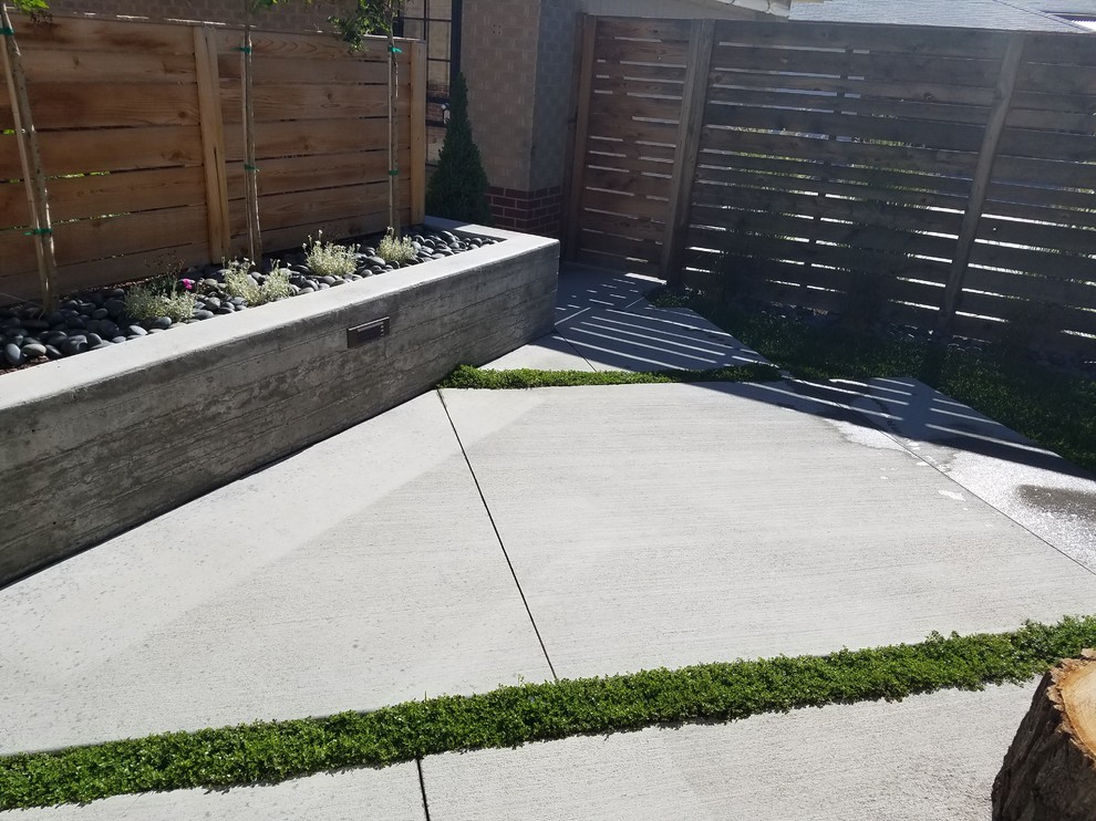 Diseño de patio minimalista pequeño en patio trasero con losas de hormigón