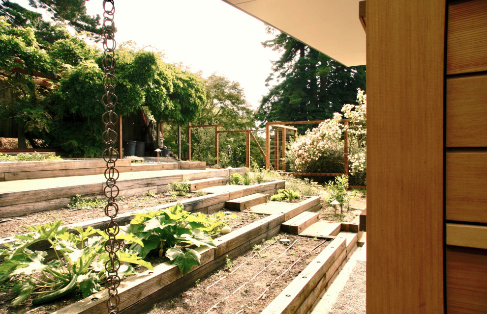 Свежая идея для дизайна: солнечный, весенний участок и сад среднего размера на заднем дворе в стиле ретро с хорошей освещенностью, покрытием из гранитной крошки и с деревянным забором - отличное фото интерьера