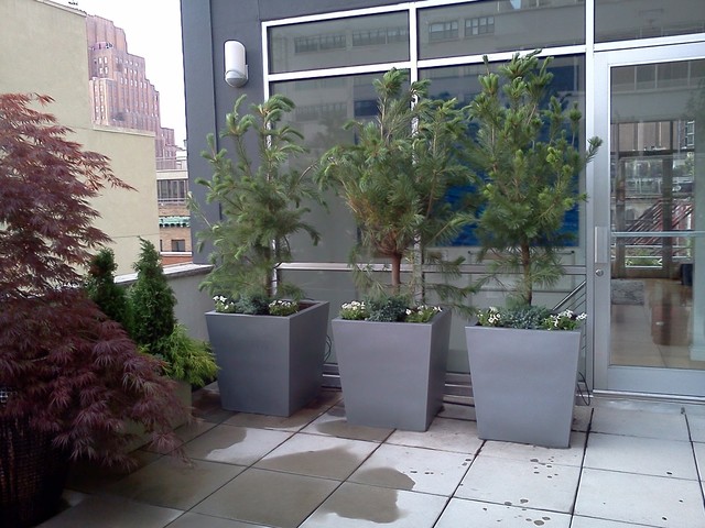 Best Patio Designer Nyc Nyplantings Ny Plantings Irrigation And Landscape Lighting Img~c4115e42048d844c 4 2805 1 4167527 