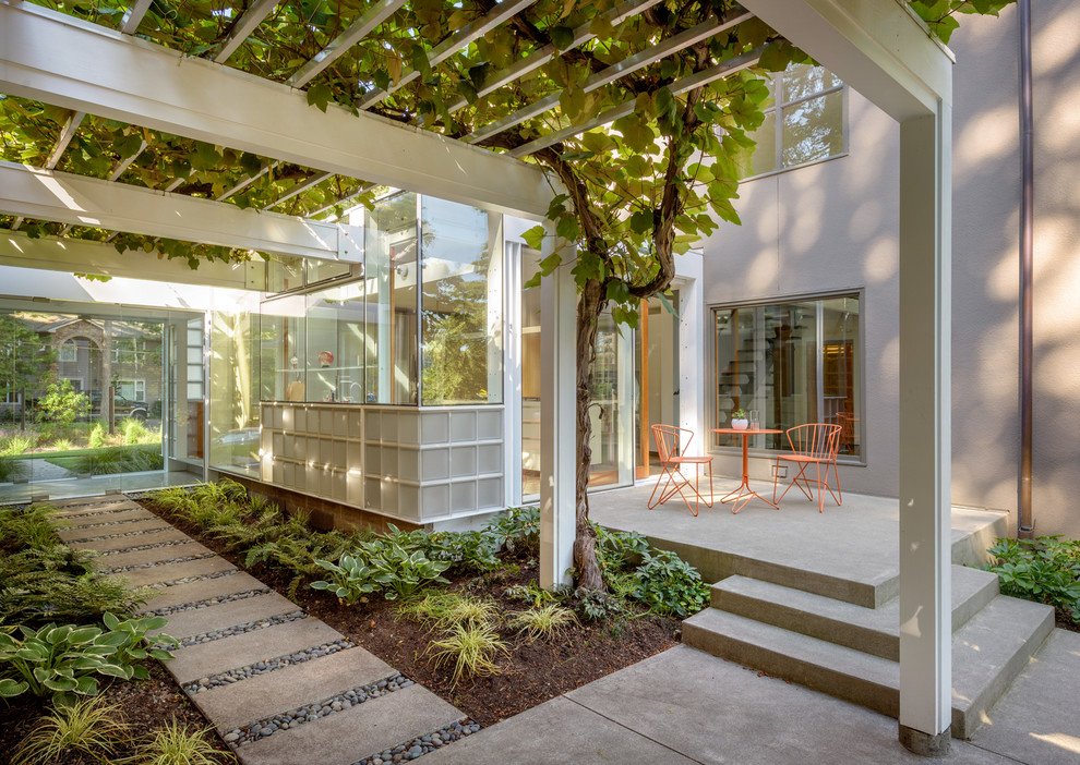 Kleiner Moderner Patio hinter dem Haus mit Betonplatten und Gazebo in Portland
