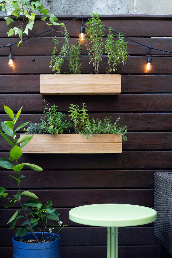 Ispirazione per un piccolo patio o portico eclettico dietro casa con un giardino in vaso, lastre di cemento e un parasole