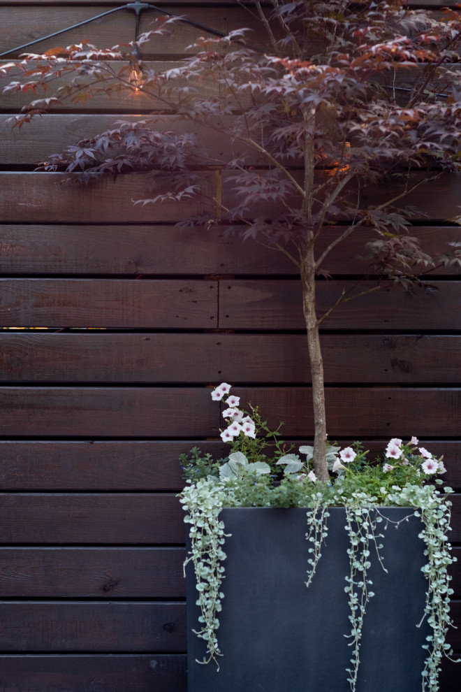 Small bohemian back patio in Austin with a potted garden, concrete slabs and an awning.