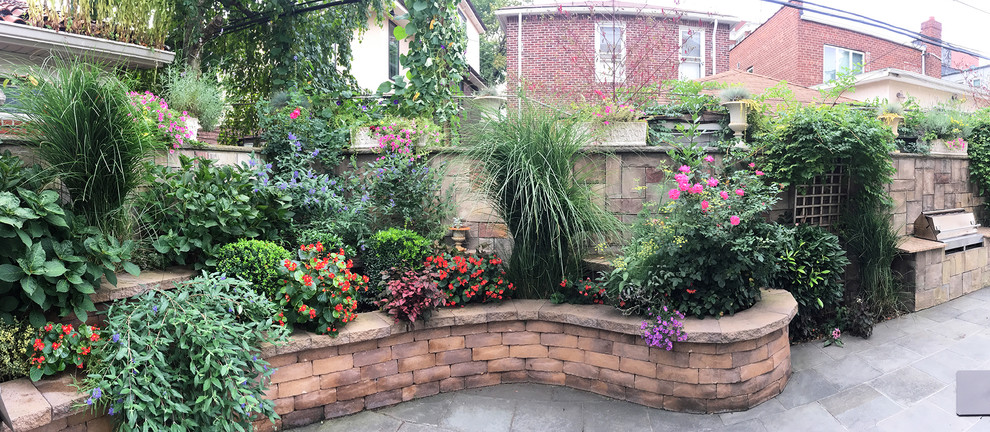 Cette image montre une terrasse avec des plantes en pots arrière traditionnelle de taille moyenne avec des pavés en béton et aucune couverture.