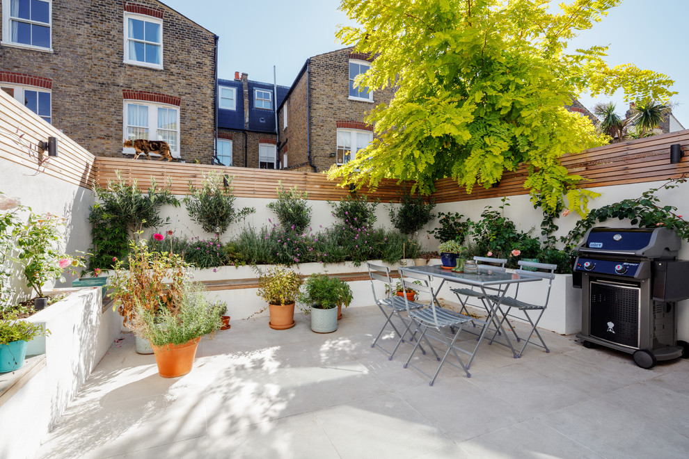 Design ideas for a small traditional back patio in London with a potted garden, concrete paving and no cover.