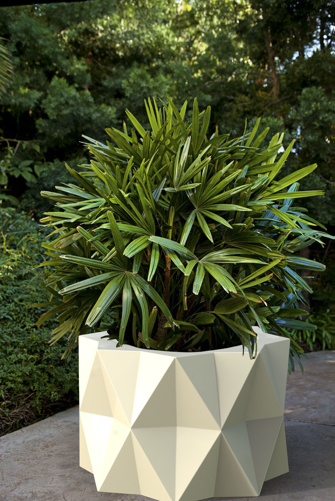 Inspiration pour une terrasse avec des plantes en pots avant design de taille moyenne avec des pavés en pierre naturelle.