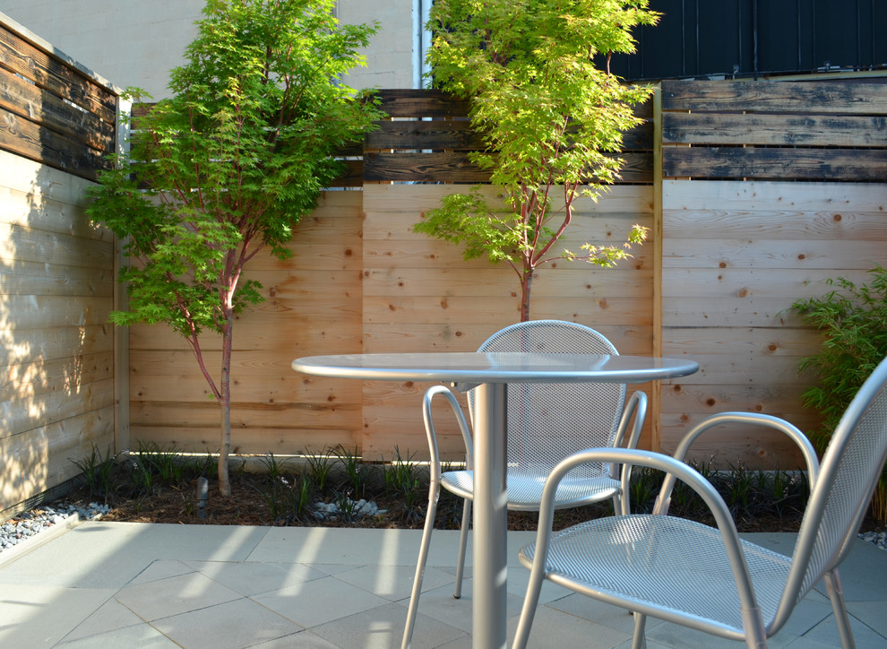 Capitol Hill Bluestone Contemporary Patio DC Metro by Moody