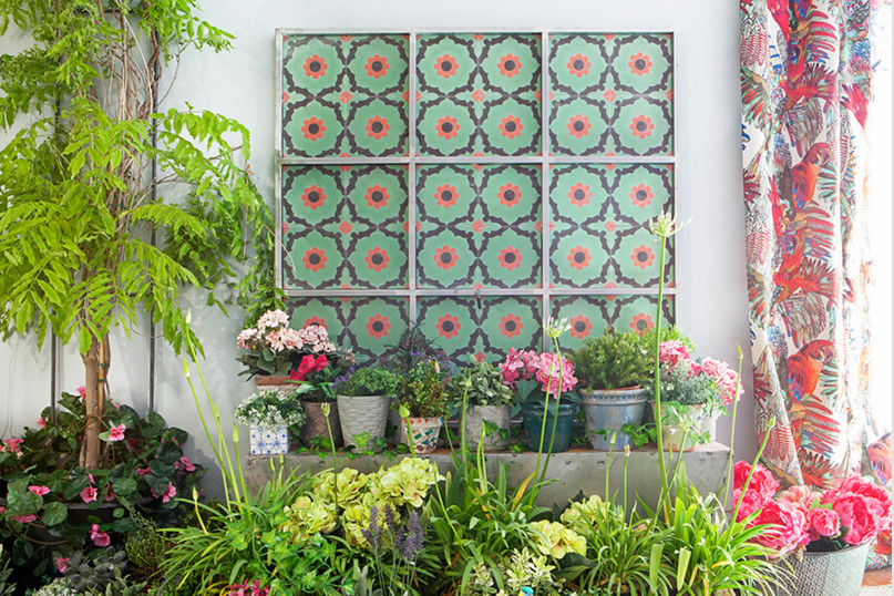 Foto di un patio o portico contemporaneo di medie dimensioni e in cortile con un giardino in vaso