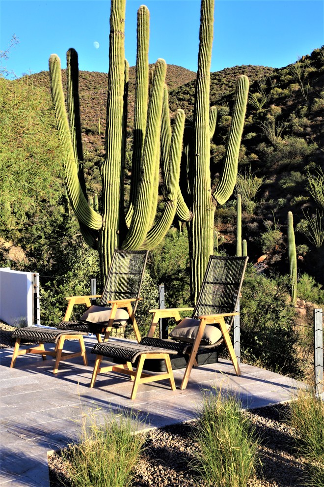 Patio - large southwestern backyard patio idea in Phoenix with decking