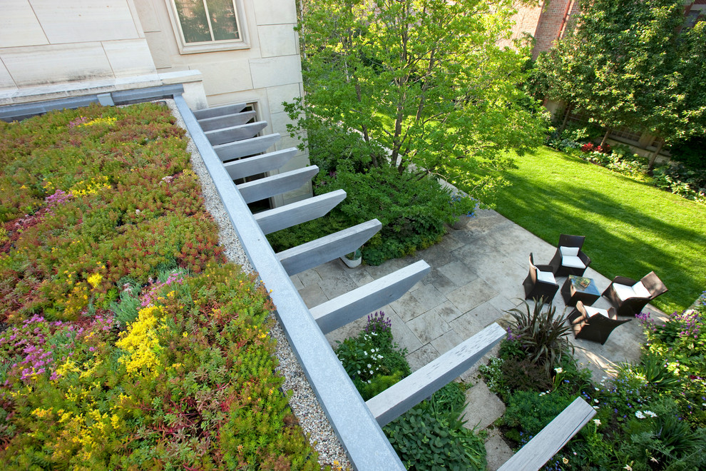 Cette image montre un mur végétal de terrasse arrière design de taille moyenne avec des pavés en pierre naturelle et une pergola.