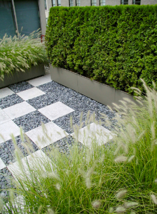 Mittelgroßer, Unbedeckter Moderner Patio hinter dem Haus mit Kübelpflanzen und Betonplatten in New York