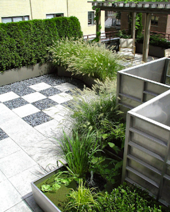Medium sized contemporary back patio in New York with a potted garden, concrete slabs and a pergola.