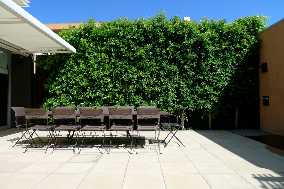 Свежая идея для дизайна: двор в современном стиле с вертикальным садом - отличное фото интерьера