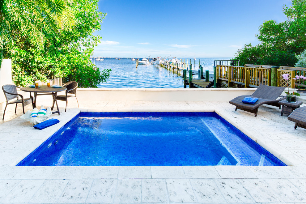 Small modern back swimming pool in Miami.