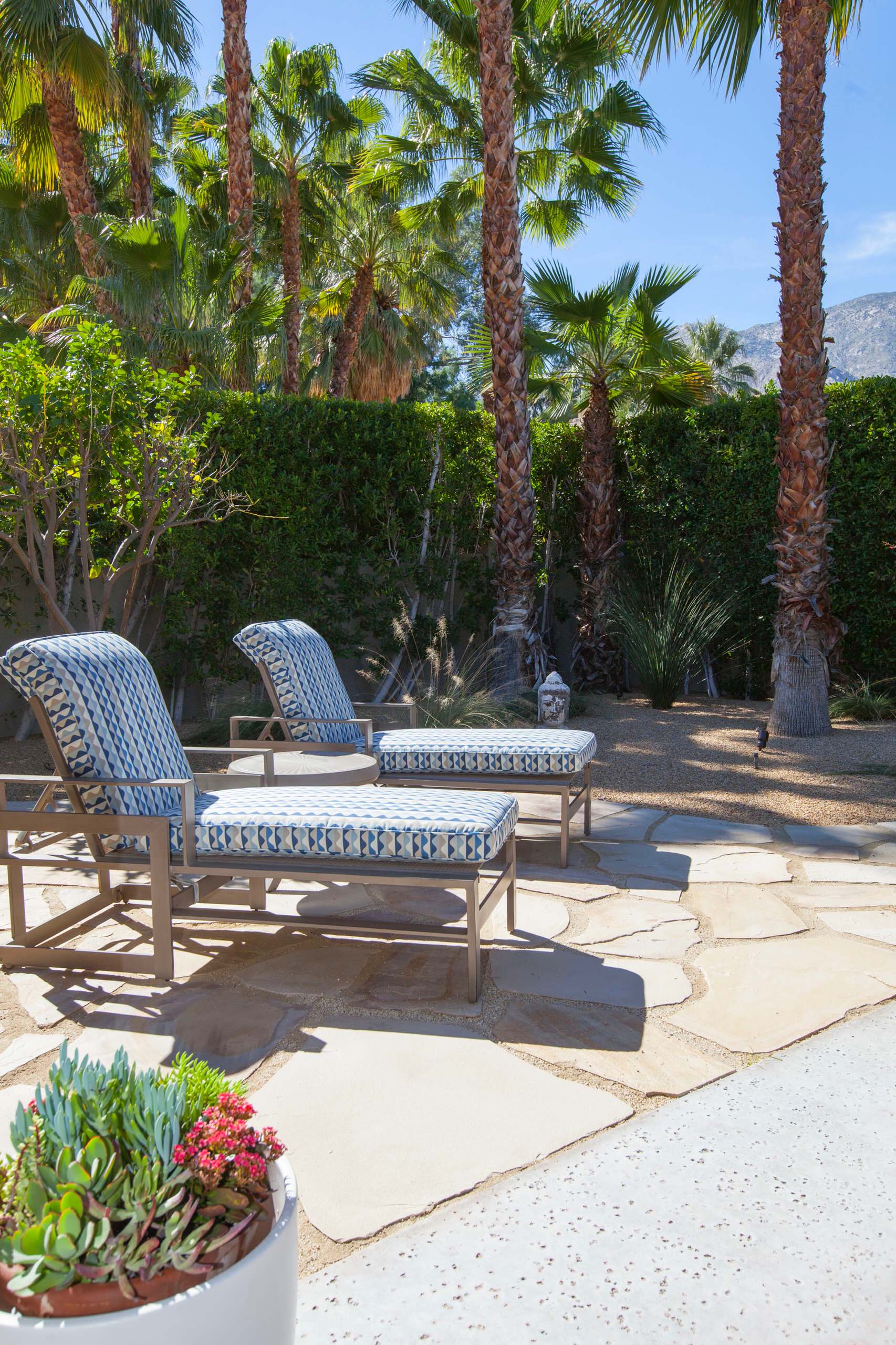 arcadia door outside living room on Collector Geeks To Curated Chic Palm Springs Mediterranean Patio Los Angeles By Design Vision Studio Houzz