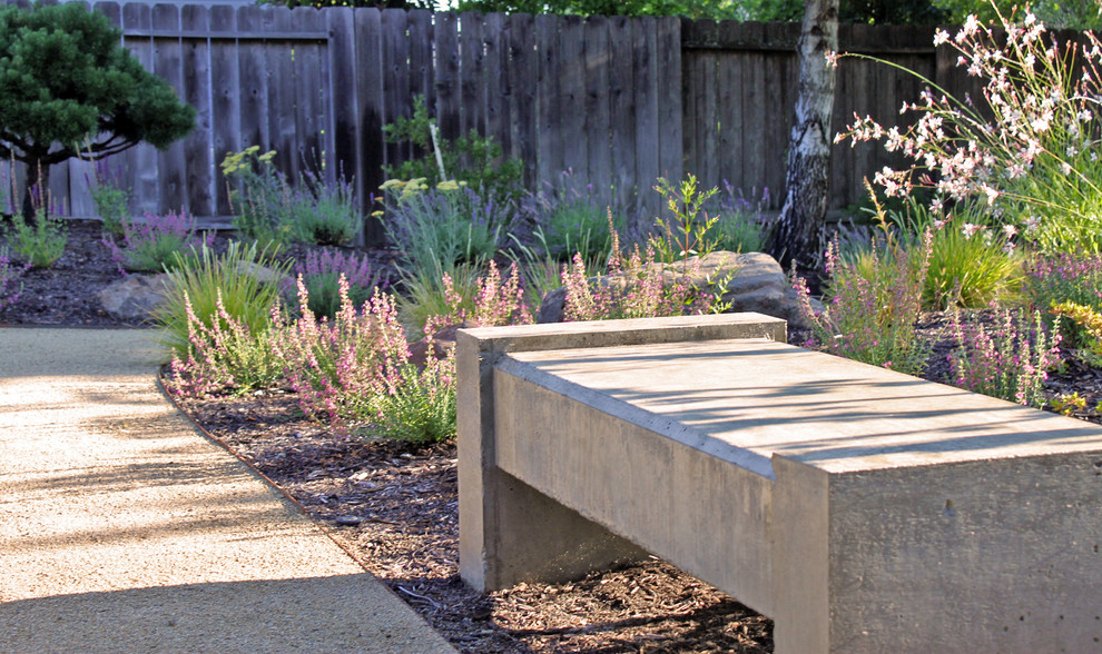 На фото: летний засухоустойчивый сад среднего размера на заднем дворе в современном стиле с полуденной тенью и покрытием из гравия с