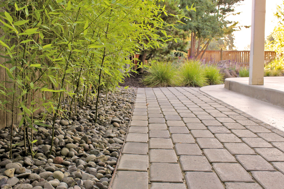 Concrete Pavers And Bamboo Side Garden Contemporary Patio Other By Regenesis Ecological Design Houzz