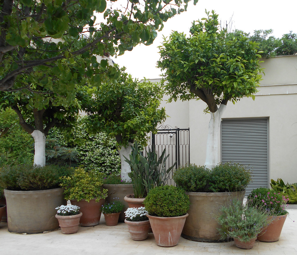 На фото: двор среднего размера на заднем дворе в современном стиле с растениями в контейнерах и покрытием из плитки без защиты от солнца с