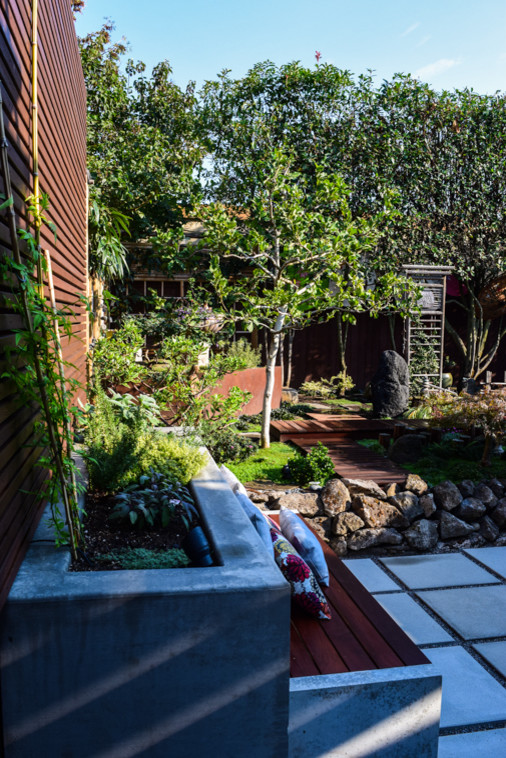 Foto di un piccolo patio o portico etnico dietro casa con un giardino in vaso, pavimentazioni in cemento e una pergola
