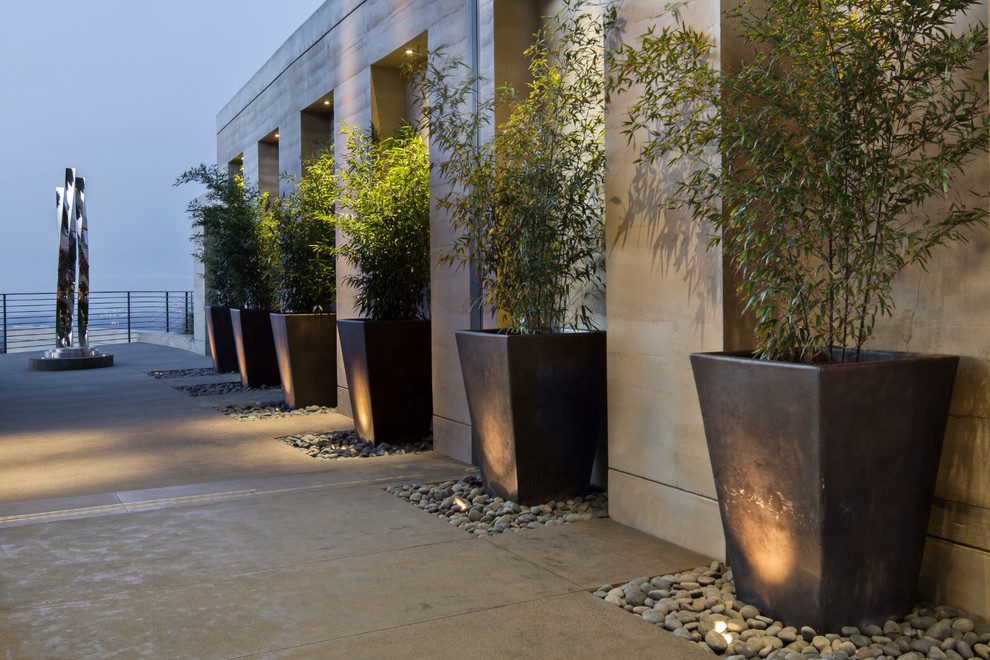 Imagen de patio minimalista extra grande con jardín vertical y losas de hormigón